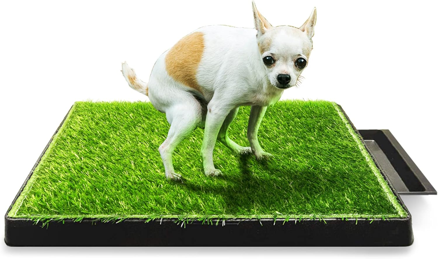 Hompet Dog Toilet Indoor Puppy Training Pad, Removable Dog Potty for Easier Clean Up,Dog Grass Pad with Tray Pet Training Grass Mat 25"20"