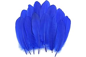 THARAHT Blue Feather Fan: Embrace the Beauty of Nature's Azure Adornments