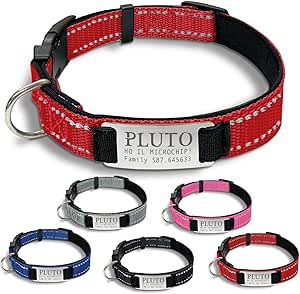 Collare Chihuahua Personalizzato Per Cani Di Piccola Taglia Collari Imbottiti Regolabili Con Campanello Per Cani Di Taglia Piccola E Media,Pesce Nero,XXS - Foto 7