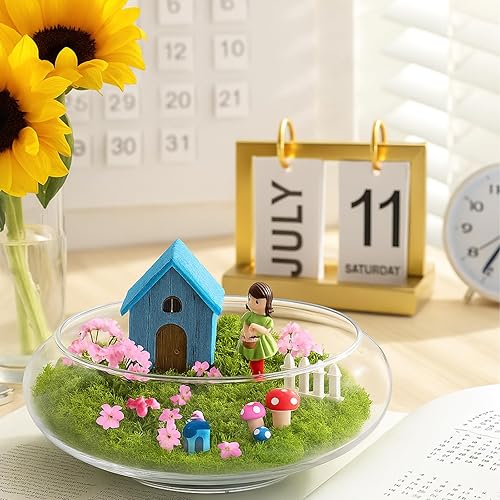 Miniatura 6 de ZENFUN Paquete de 2 jarrones de vidrio, jarrón de flores de boca ancha de 6 y 8 pulgadas, terrario redondo, maceta hidropónica de vidrio, recipiente