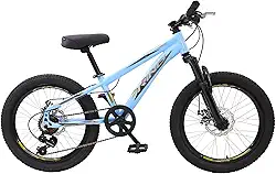 Bicicleta Aro 20 Rino Everest Infantil Freio A Disco Cambio Shimano