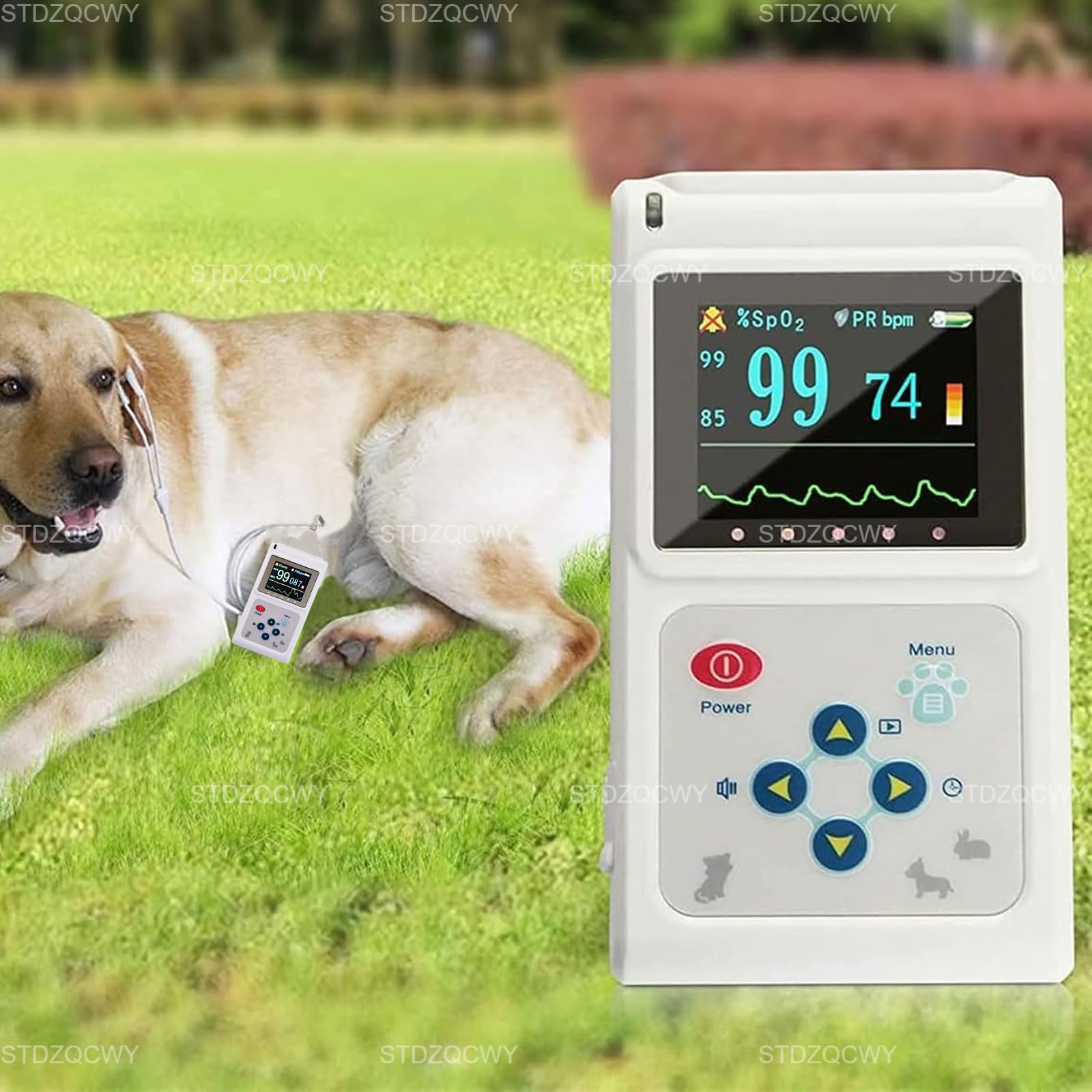 Tragbares Veterinär-Blutdruckmessgerät, Veterinär-Pulsoximeter, 1,8-Zoll-LCD-Display, Mit Wiedergabe-, Echtzeit-Übertragungs- Und Speicherfunktion, Pulsfrequenzmessgerät Für Katzen/Hunde, Für Zuhause