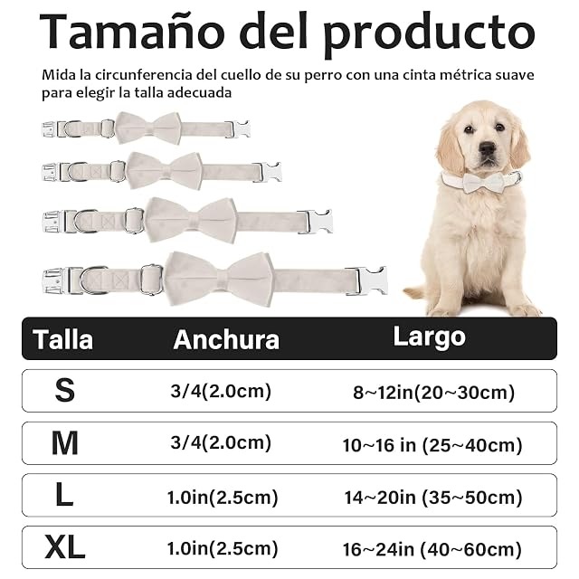 Foto 4 de 8 de KTWSUEF Collar Perro Terciopelo, con pajarita perro Desmontable
