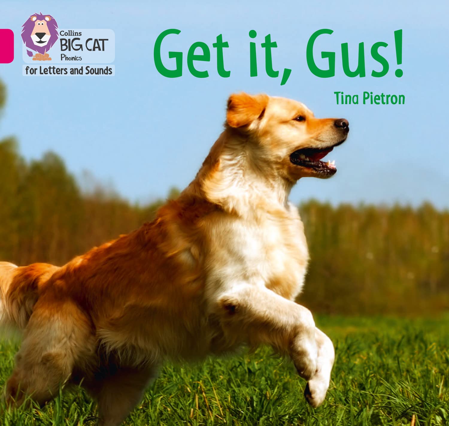 Get it, Gus! Band 01b/Pink B by Tina Pietron (Paperback Book)