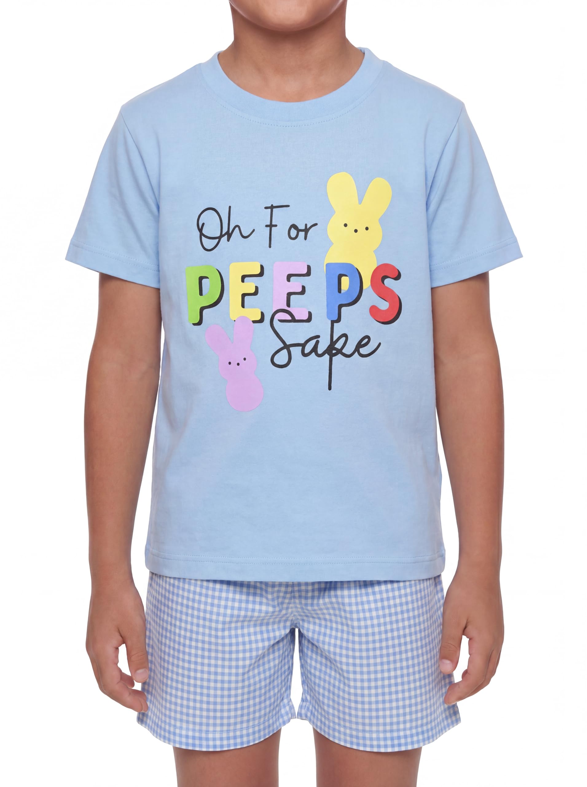 Boys 2pc Shorts Set Outfit Short Sleeve Shirt with Classic Applique Print and Shorts