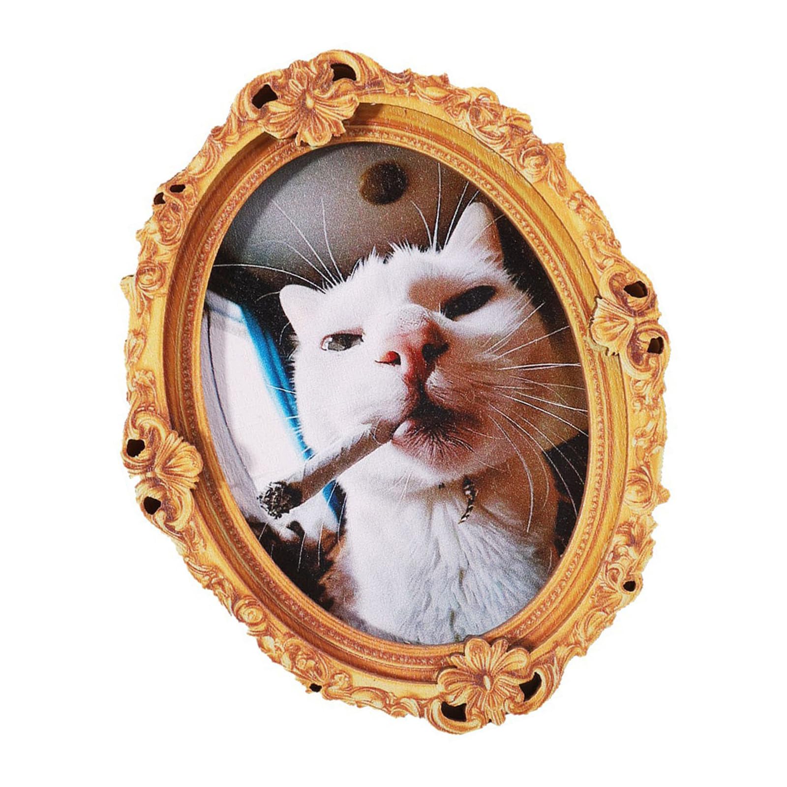 Elnwnnkc Cats Refrigerator Magnets Fridge Magnets for Locker Whiteboard Decorative Magnet Garage Door Magnet Sticker Whiteboard Decorative