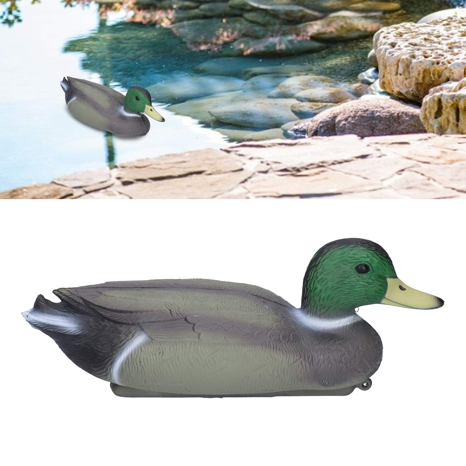 ARTECSIS Pato Real Male De Plástico 35 Cm, Figura Para Jardín, Decoración Para Estanque O Señuelo Para Caza … (Juego De 2