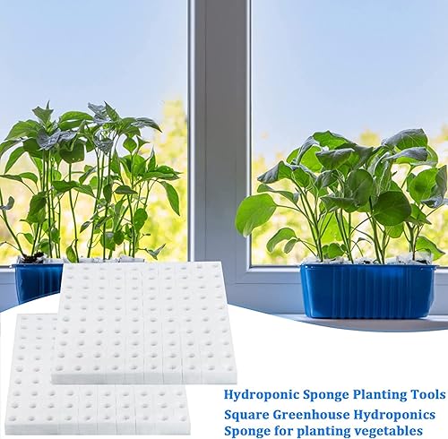 Miniatura 7 de XIDAJIE 600 esponjas hidropónicas, herramienta de jardinería, cultivo sin suelo, esponjas de plántulas, esponja de cultivo invernadero para