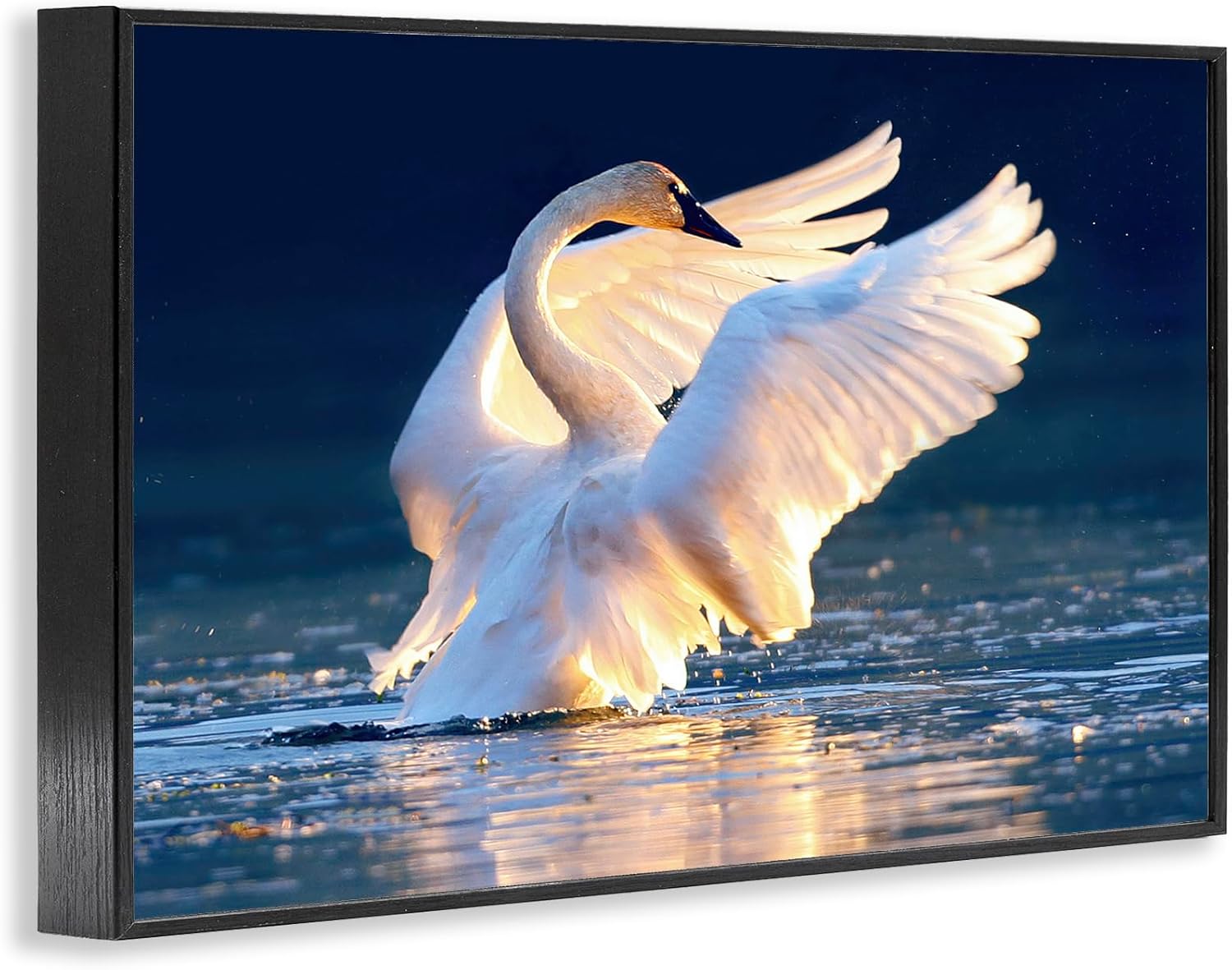 Stupell Industries Sunset Symphony Swan Framed Giclee Wall Art Design by Shane Lamb, Black Framed, 24 x 16