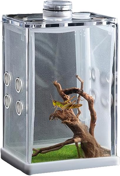 Genérico Recinto para Arañas Saltarinas - Mini Hábitat Acrílico con Luz LED Terrario De Alta Transparencia | Estuche De Observación De Insectos, Pequeña para Vivienda De Reptiles, Exhibición De - 1