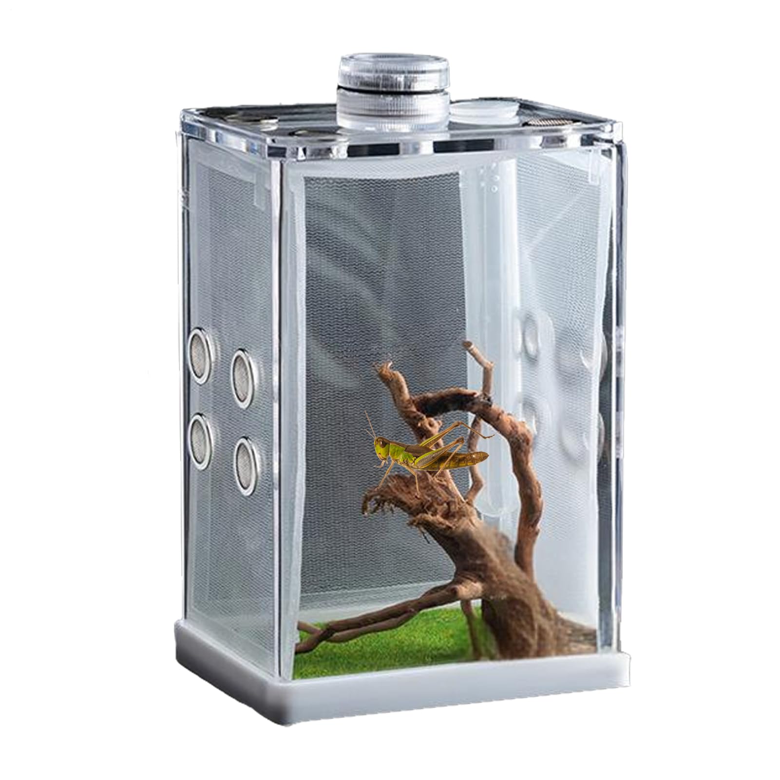 Genérico Recinto para Arañas Saltarinas - Mini Hábitat Acrílico con Luz LED Terrario De Alta Transparencia | Estuche De Observación De Insectos, Pequeña para Vivienda De Reptiles, Exhibición De