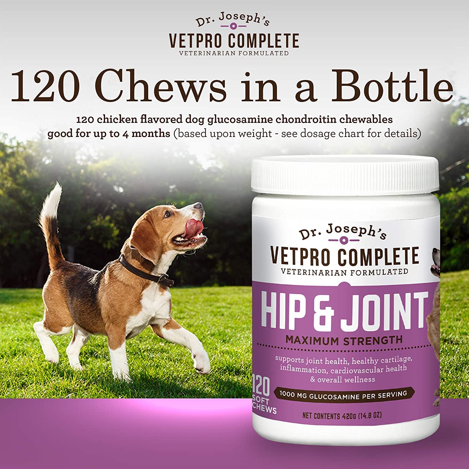 Is There An Over The Counter Anti Inflammatory For Dogs