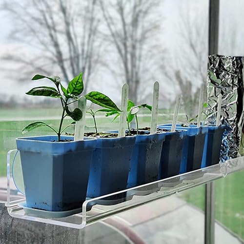 Miniatura 6 de Paquete de 2 estantes de ventana con ventosa para plantas de 16 pulgadas, estante acrílico transparente para plantas de interior, repisa de ventana,