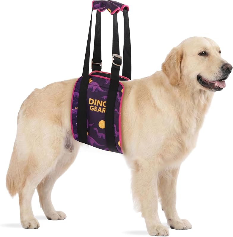 Cinta de Suporte Traseiro para Cães LovinPet com Alças Acolchoadas e Estampa de Dinossauro Roxa