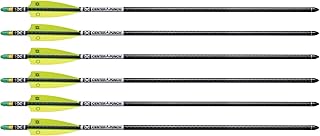 TenPoint EVO-X CenterPunch Carbon Arrows, 20