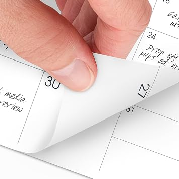 AT-A-GLANCE 2026 Monthly Planner Refill for 70-064, 3-1/2 x 6, Pocket Size (709061026)