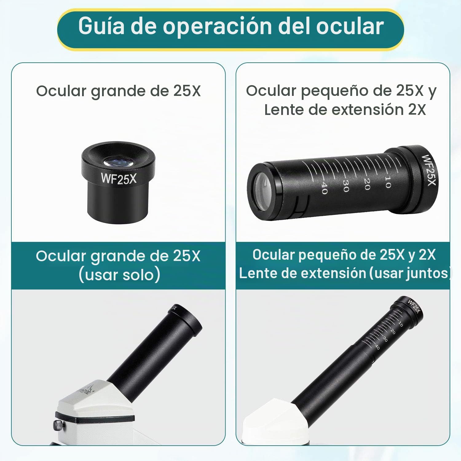 MAXLAPTER Microscopio LED 2000x con Regla móvil – Óptica de Laboratorio con Cuchillas preparadas y en Blanco – Adaptador de Lente