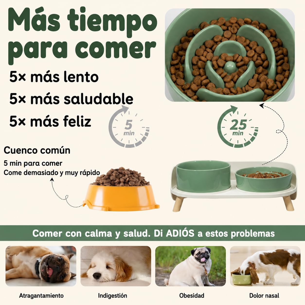 Cuencos elevados de alimentación lenta para perros, juego de cuencos de cerámica para alimentos y agua con soporte, platos elevados para mascotas para perros pequeños y medianos