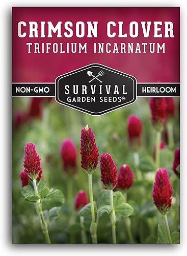 Survival Garden Seeds - Semilla de trébol carmesí para plantar - Paquete con instrucciones para plantar y cultivar hermosas flores que también son