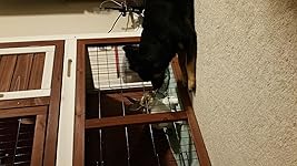 Review Image by Amy Moore Amy Moore