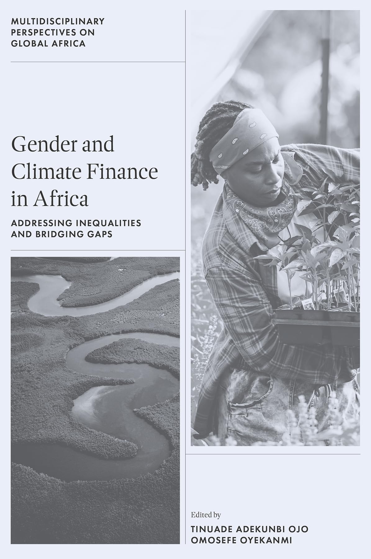 Gender and Climate Finance in Africa: Addressing Inequalities and Bridging Gaps (Multidisciplinary Perspectives on Global Africa)