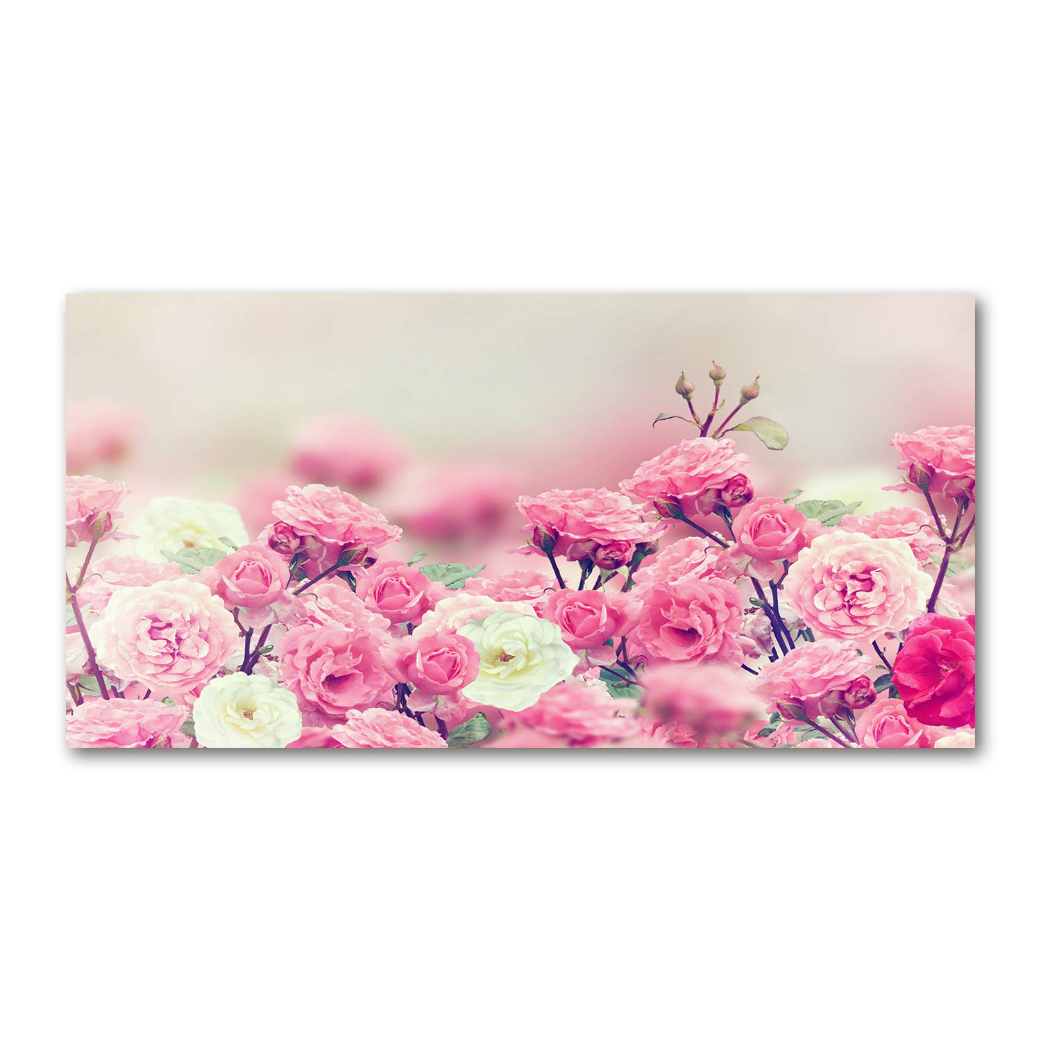 Déco mural acrylic glass d'illustration florale rose 140x70