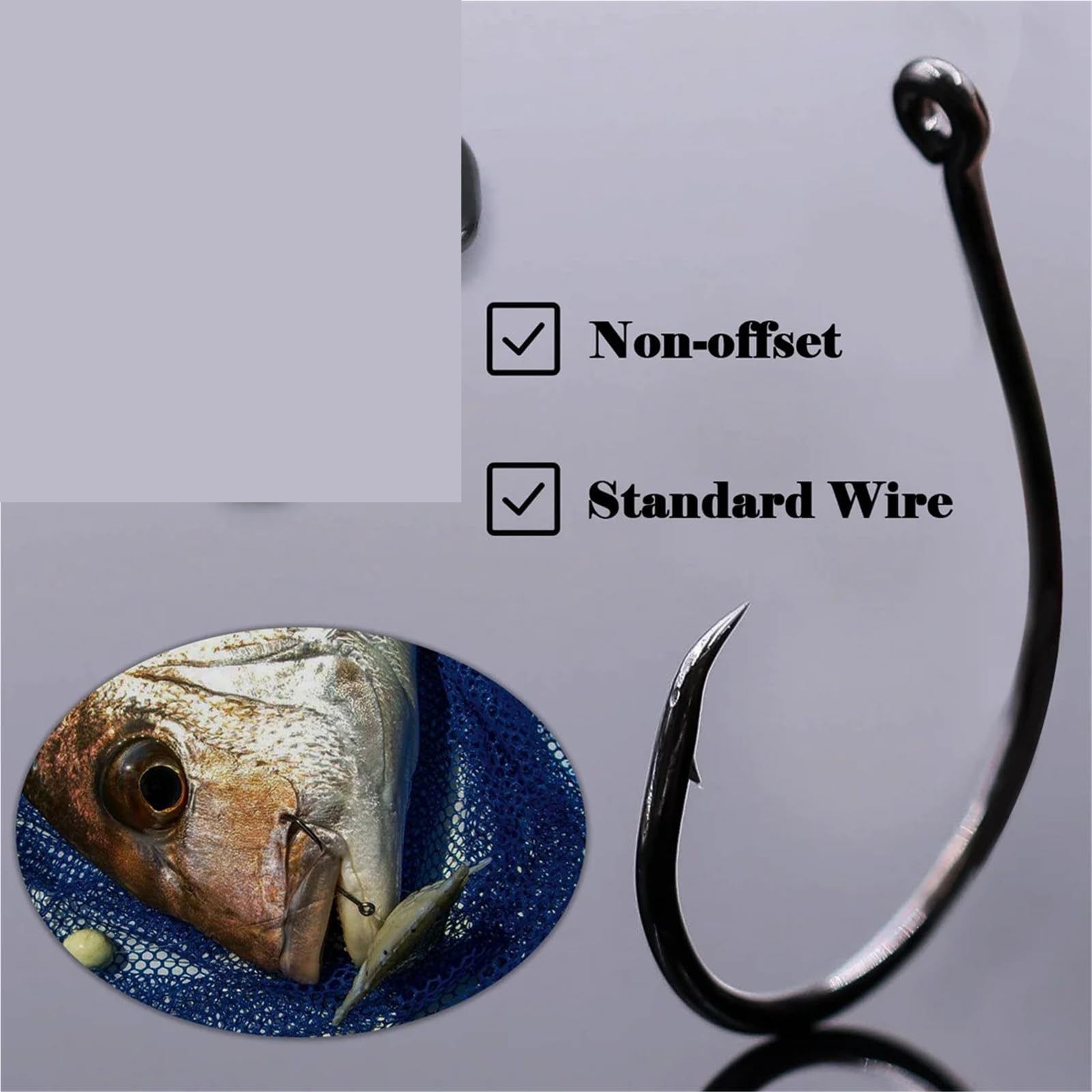 Ami da Pesca 25~100 Pezzi Ami circolari in Linea for Pesca in Acqua salata Pesce Gatto Ampio Divario Non Offset for spigola Salmone a Strisce