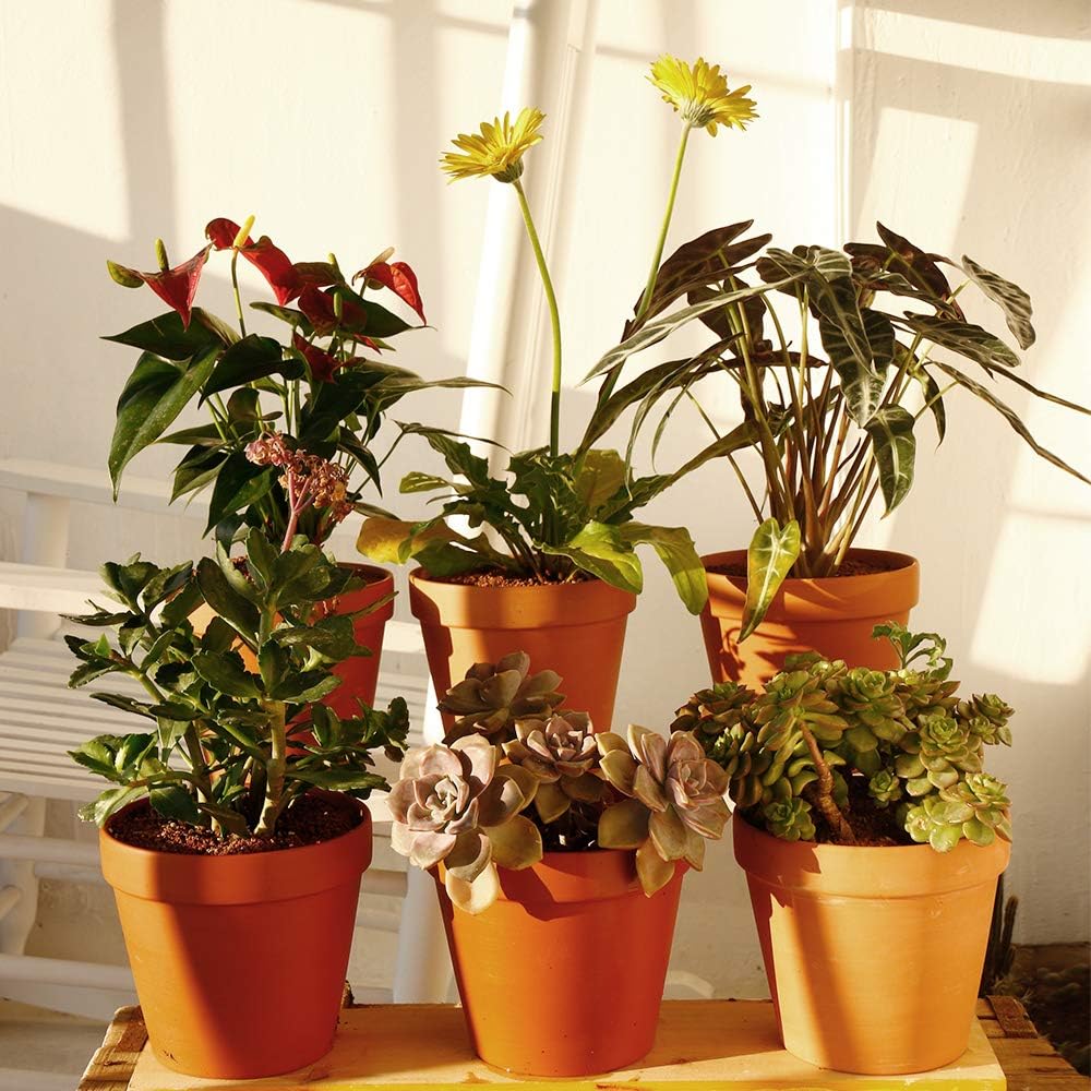 Yishang Large Terracotta Pot Clay Pots 6.3'' Clay Ceramic Pottery Planter Cactus Flower Pots Succulent Pot Drainage Hole- for Indoor/Outdoor Plant Crafts