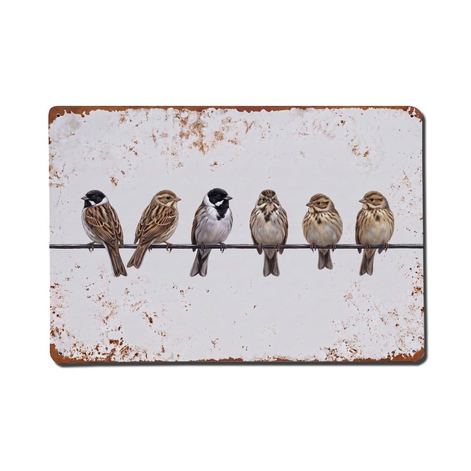 Vintage Retro Birds Reed Bunting Metal Tin Sign