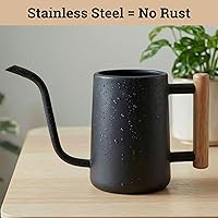 Vista 3 de Regadera de metal de 35 onzas, pequeña para interior, con boquilla larga y mango de madera real para plantas de casa, suculentas, cactus y plántulas