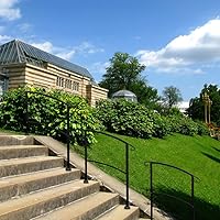 Vista 2 de Pasamanos para escalones al aire libre, barandilla ajustable para escaleras al aire libre para 1-3 escalones, pasamanos de hierro forjado con kit