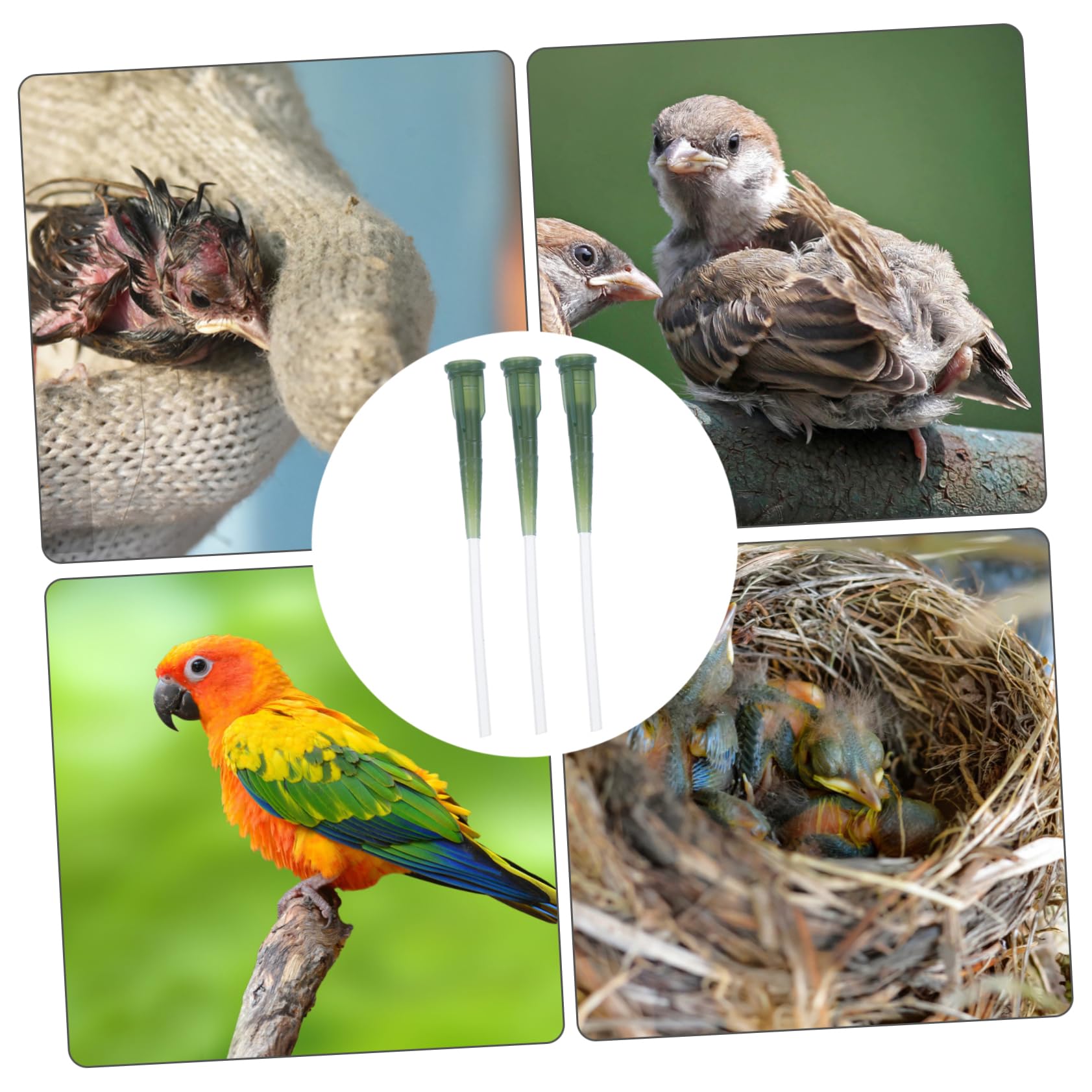 BESPORTBLE 9stücke Fütterungsschlauch Für Junge Vögel Sanftes Fütterungswerkzeug Für Papageien Geeignet Für Neugeborene Geruchsneutral Und Sicher Für Fütterung Von Milchpulver