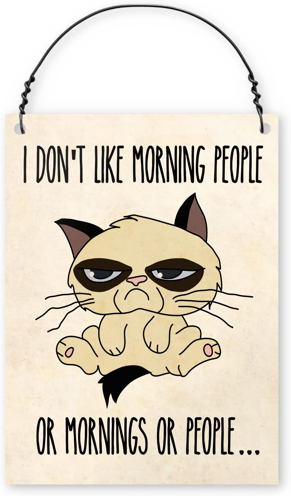 Dorothy Spring I Don't Like Morning People Or Mornings Or People Funny Grumpy Cat Wall Metal Small Plaque Sign Size 4x3 inch