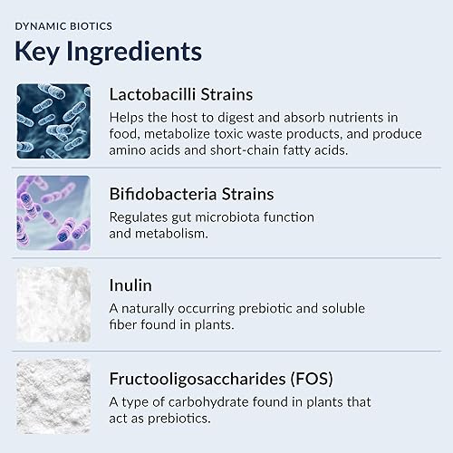 Vista 5 de Probióticos 51 mil millones de CFU - 16 cepas, prebióticos, sintéticos, bióticos de Stonehenge Health Dynamic Biotics - Lactobacillus Acidophilus
