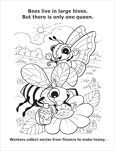 Miniatura 3 de ZOCO - Libros para colorear personalizados a granel (paquete de 300) - Todo sobre insectos con mariposa Belinda - Libro educativo para colorear y