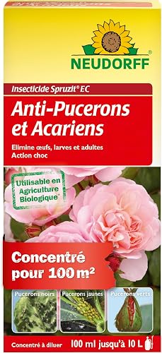 Insecticide anti-puceron (spray prêt à l'emploi)