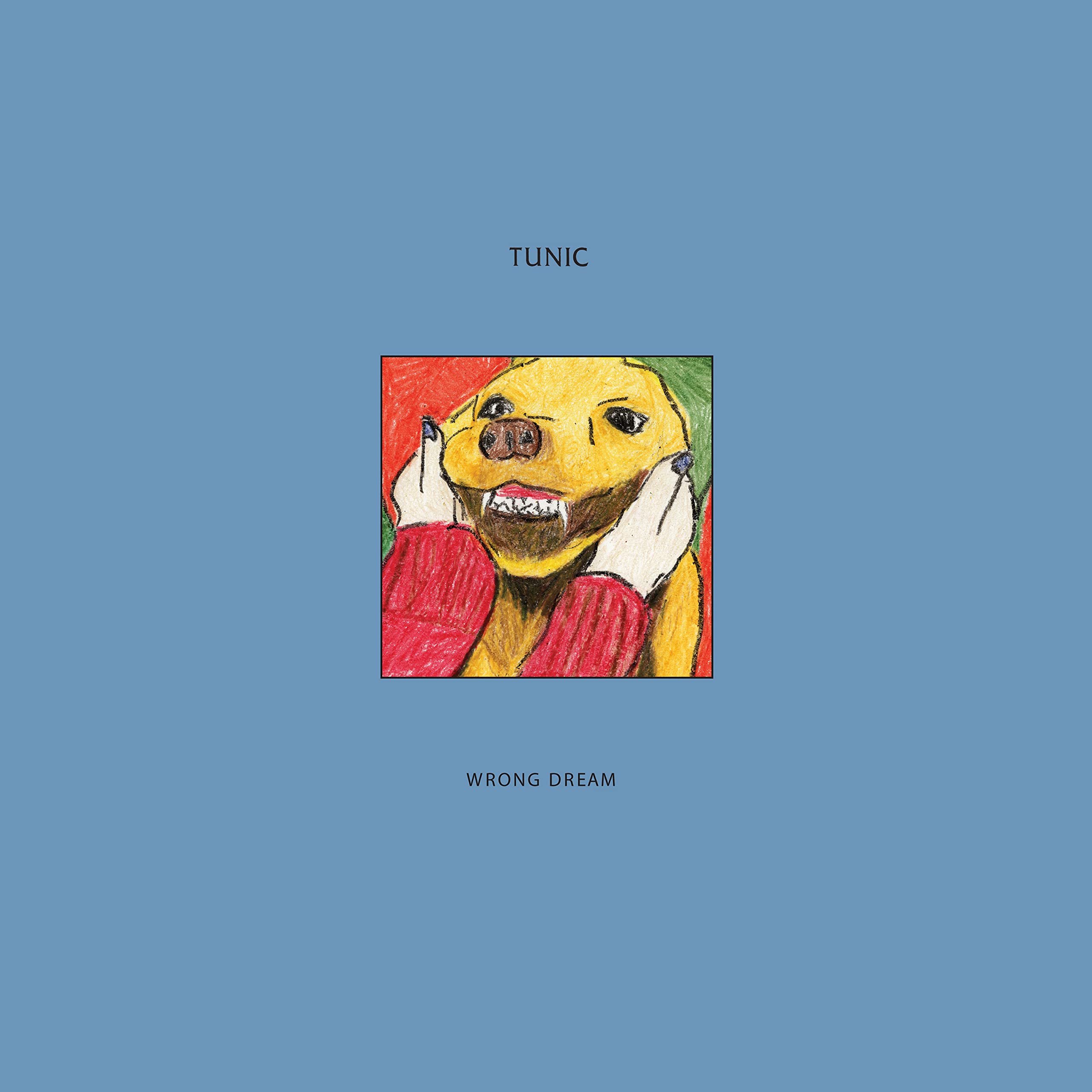 Wrong Dream [VINYL]