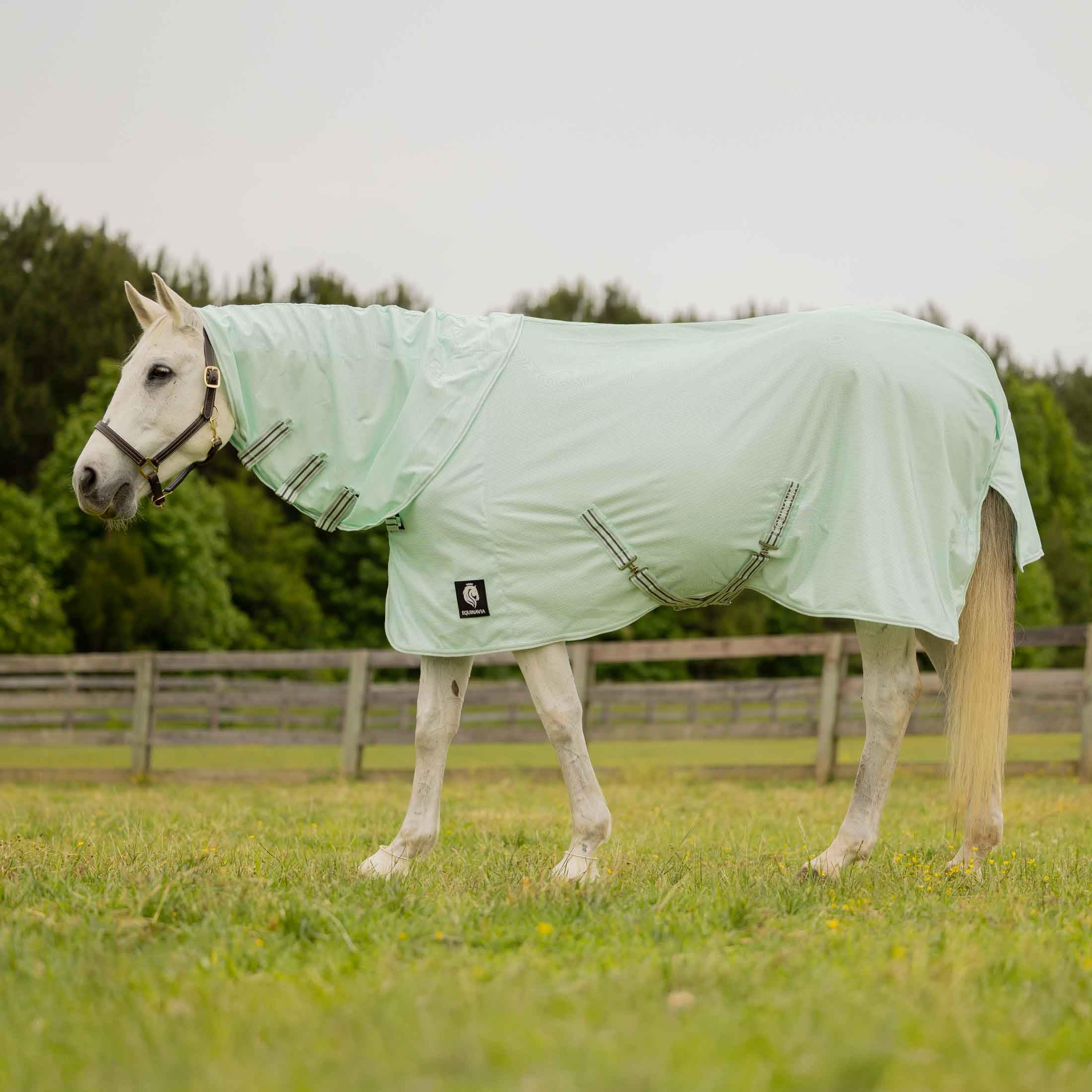 Equinavia Brisk - Telo antimosche in rete con copertura rimovibile per il collo, copertura estesa durevole con protezione UV UPF 45, telo antimosche per cavalli, giada nebbiosa, 190,5 cm