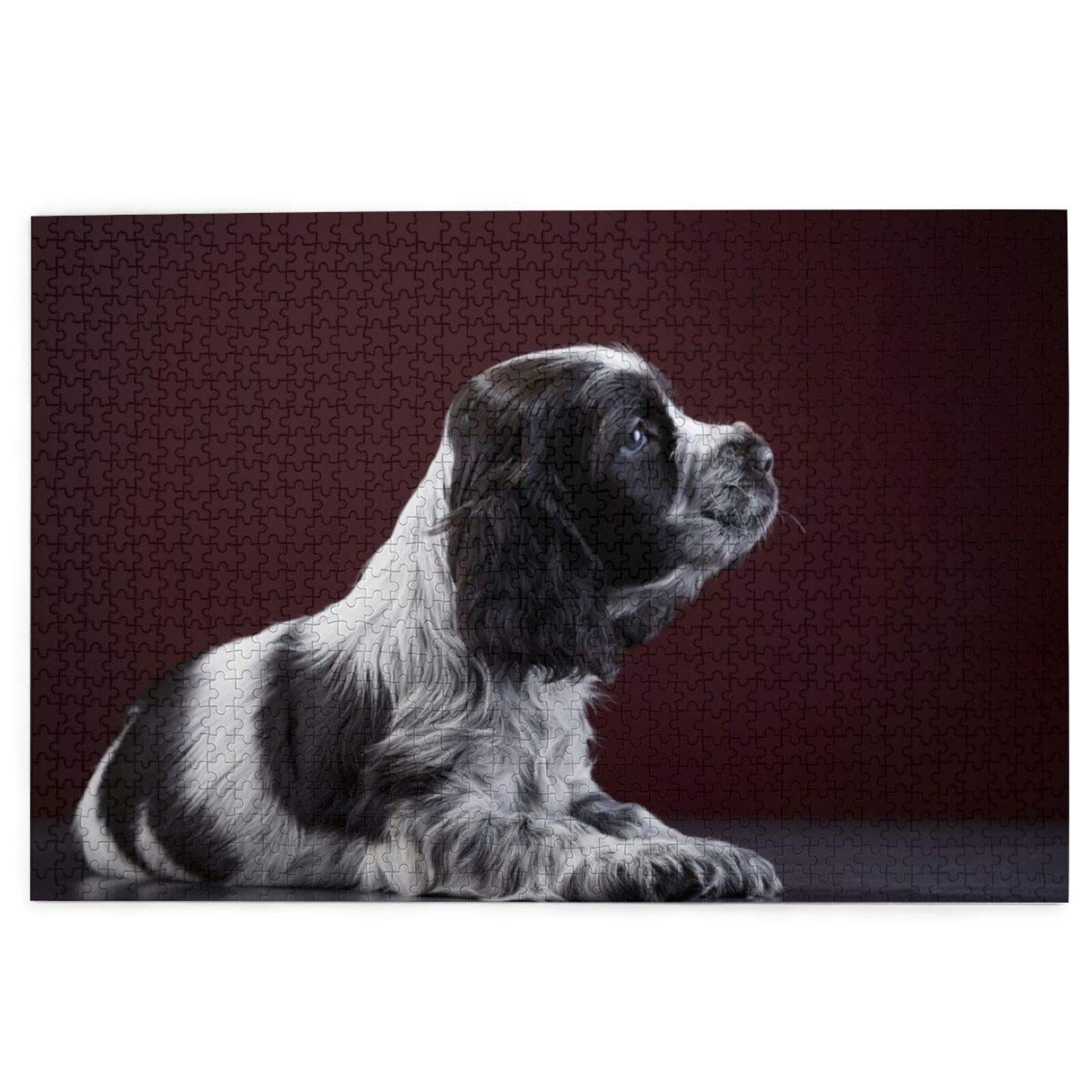 Puzzle 2000 pièces Cocker Spaniel Puppy Black and White Spaniel Jigsaw Toy Family Game Décoration Murale pour Adultes Adolescents 70x100CM