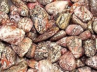 Vista 2 de Jaspe de piel de leopardo caído, incluye bolsa de terciopelo - Piezas grandes de 1 pulgada (1 libra)