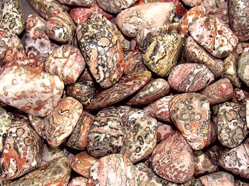 Miniatura 3 de Jaspe de piel de leopardo caído, incluye bolsa de terciopelo - Piezas grandes de 1 pulgada (1 libra)