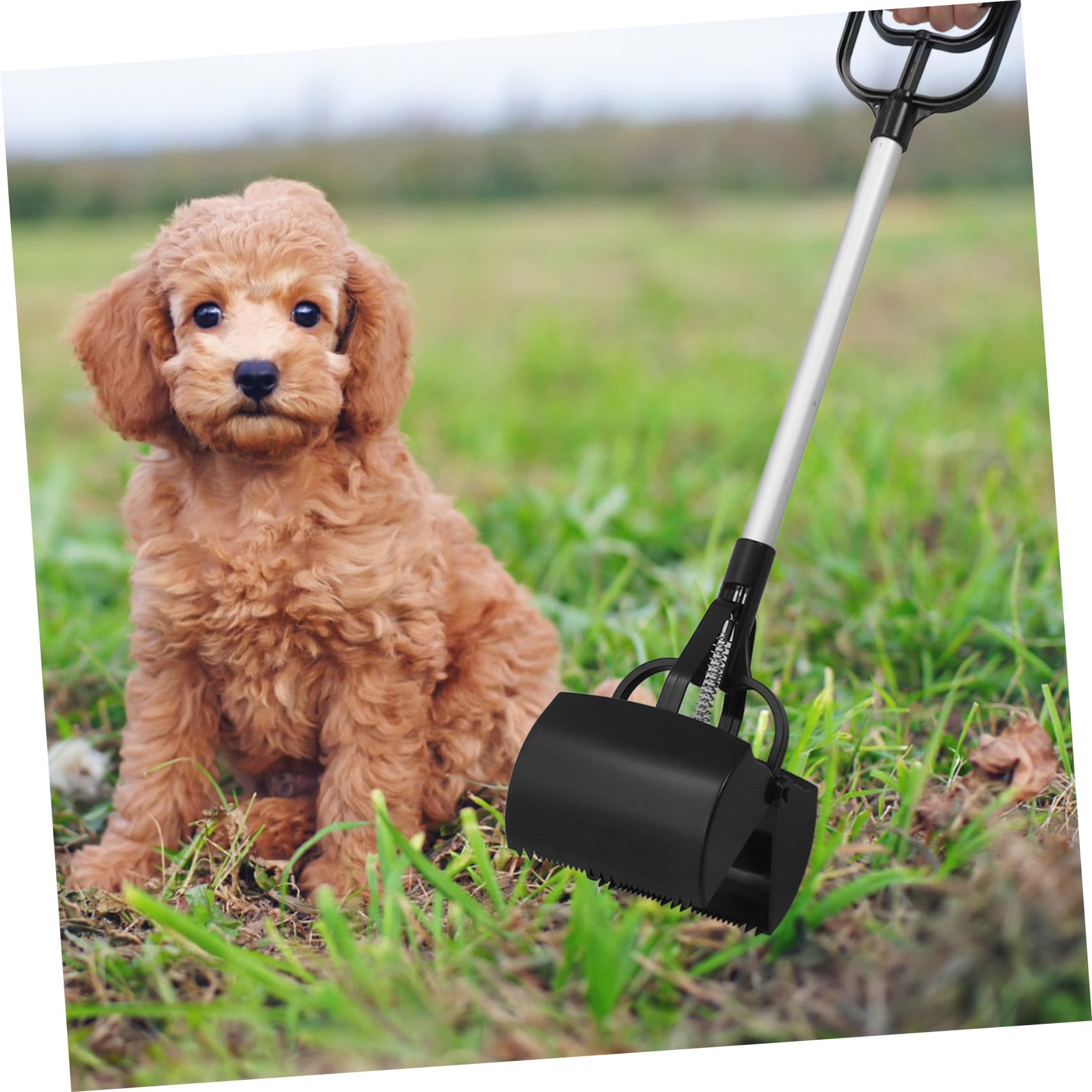1pezzi Raccoglitore Escrementi per Cani con Manico Extra Lungo Strumento di Pulizia per Animali Domestici Leggero e Portatile Facile da Usare per La Raccolta di Feci Utile per