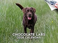 Vista 162 de Razas de Perros 2017