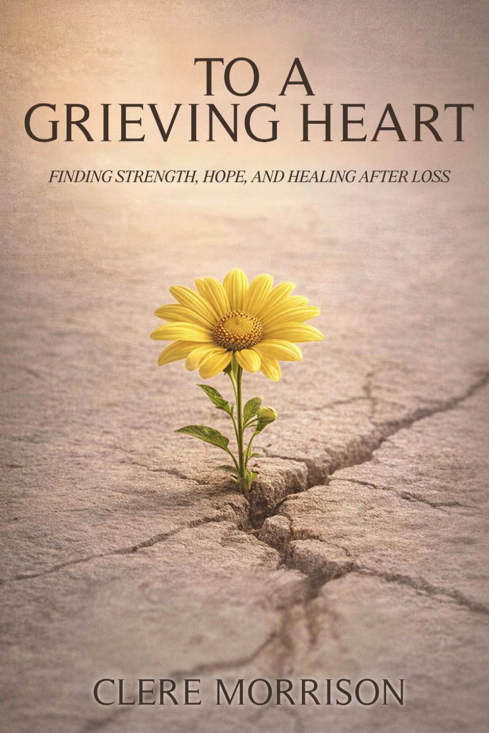TO A GRIEVING HEART: FINDING STRENGTH, HOPE, AND HEALING AFTER LOSS