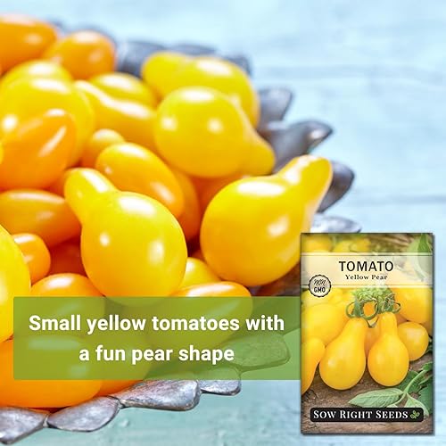 Miniatura 3 de Sow Right Seeds - Semilla de tomate de pera amarilla para plantar - Paquete de reliquia sin OMG con instrucciones para plantar un huerto casero -