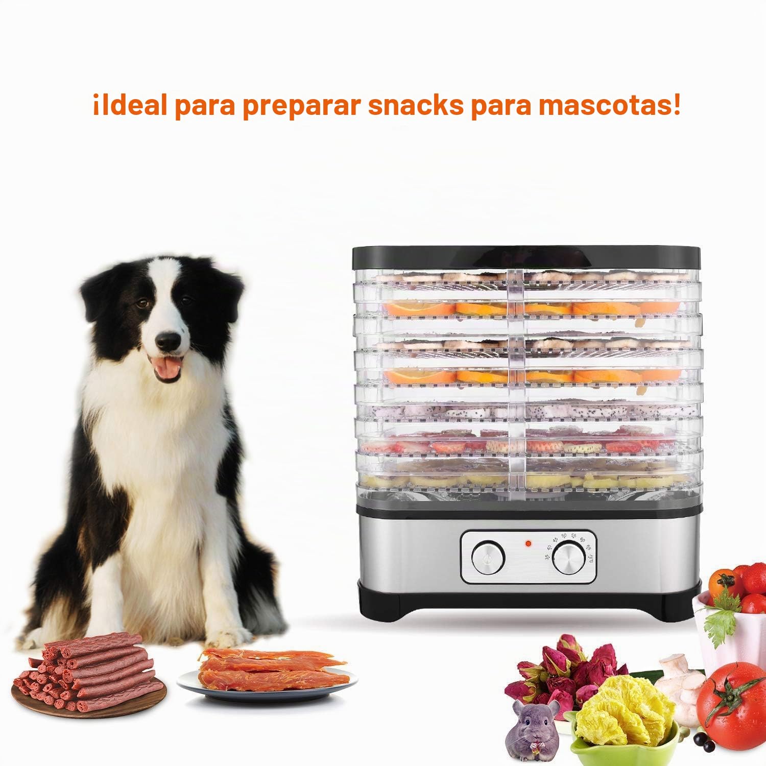 COOCHEER Deshidratador de Alimentos 8 Pisos Bandejas, Deshidratador de Frutas y Verduras 400W con Temporizador 72H y Temperatura ajustable,Pantalla LCD,sin BPA