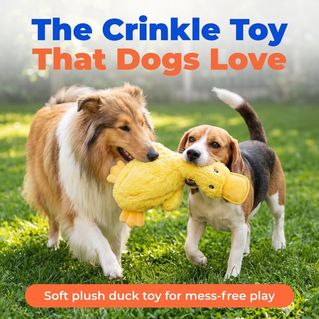 Ultimate Fun for Fido: Review of the Crinkle Duck Squeaky Chew Toy!