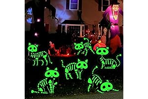 6PCS Glow in The Dark Halloween Black Cat Signs