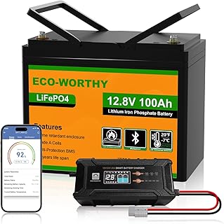 ECO-WORTHY 12V 100Ah LiFePO4 Bluetooth mit 12/24V 20A Ladegeräte,Lithiumbatterie 12V 100AH mit BMS Low Temperature Schutz für Wohnmobil,Boot,Wohnwagen