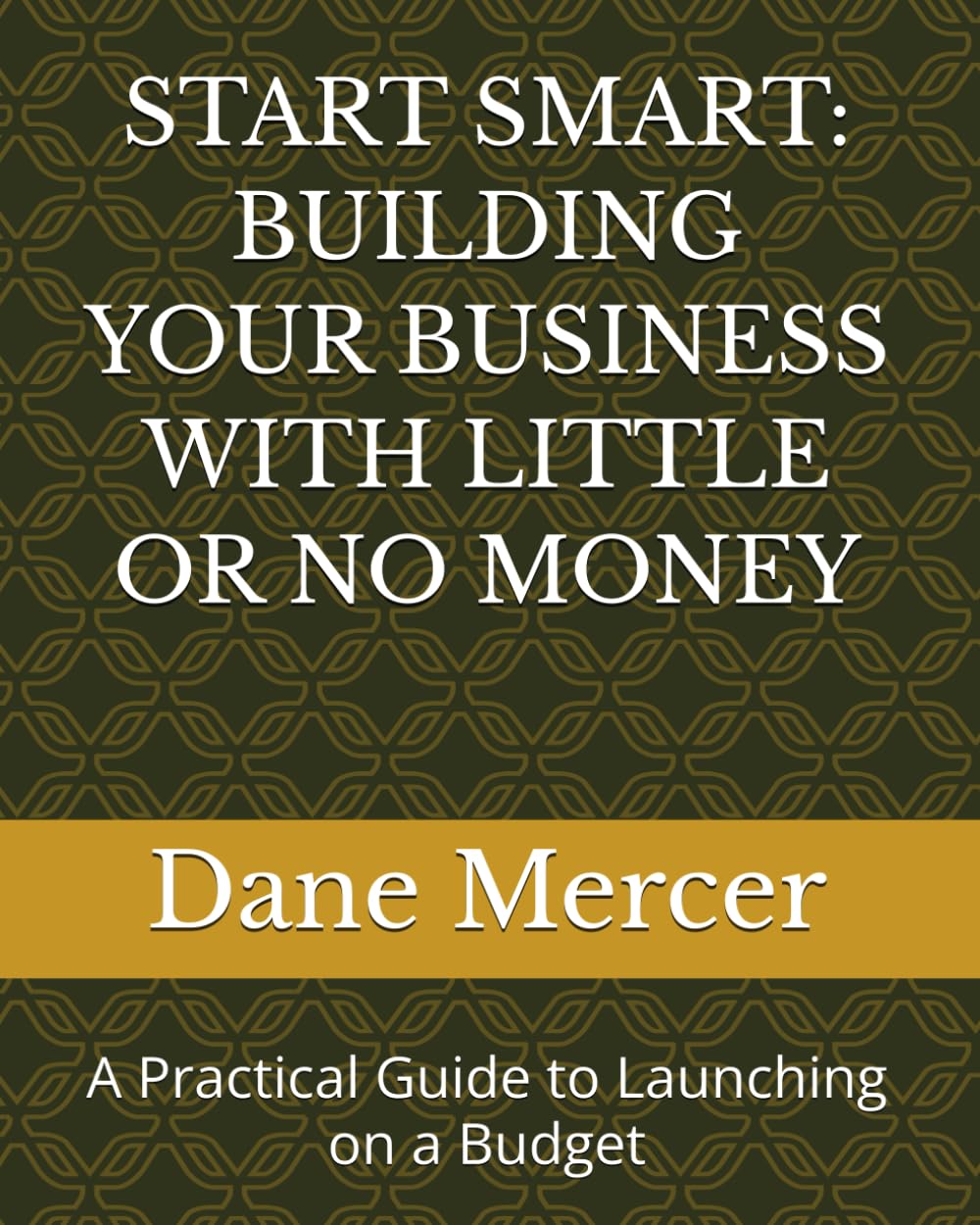 START SMART: BUILDING YOUR BUSINESS WITH LITTLE OR NO MONEY: A Practical Guide to Launching on a Budget
